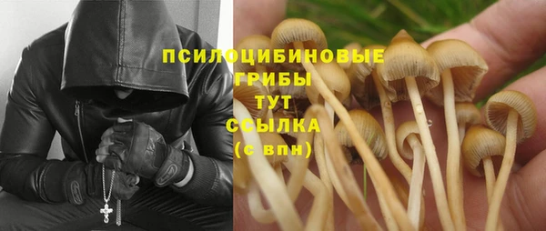 МДМА Богородицк