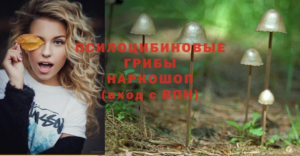 кокс Богданович