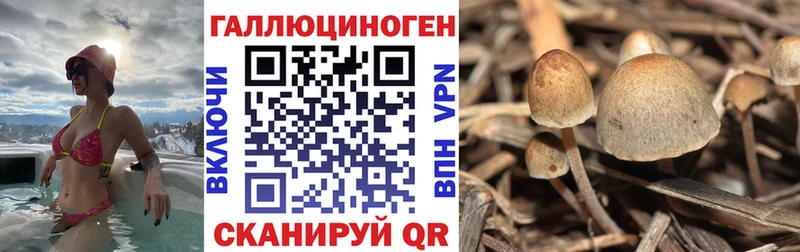 Галлюциногенные грибы мицелий Лукоянов