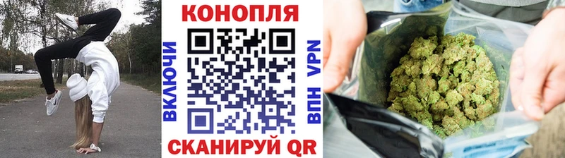 Бошки Шишки MAZAR Лукоянов